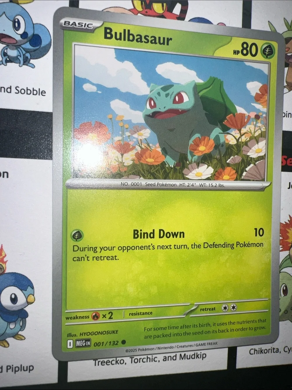 Pokemon Bulbasaur Card - Green, Blue, Orange